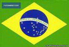 бразилия. государство и государственное управление в бразилии